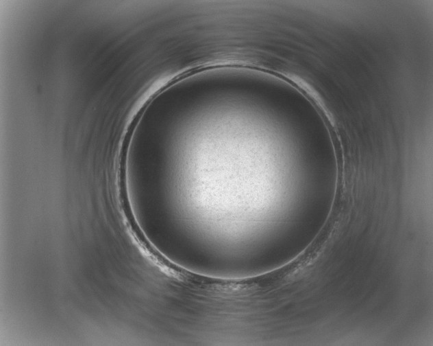 X0000078860949200611201310