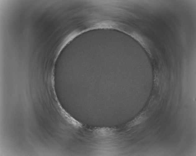 X0000078860950200611201310