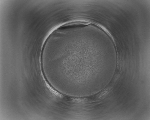 X0000078860951200611201310