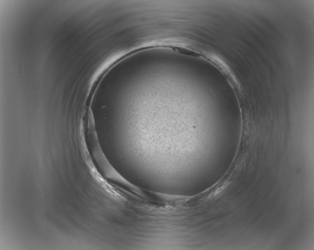 X0000078860952200611201310