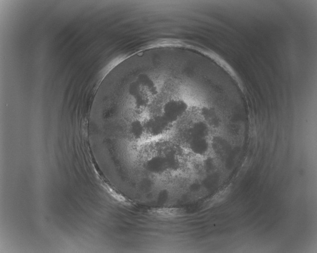 X0000078860953200611201310