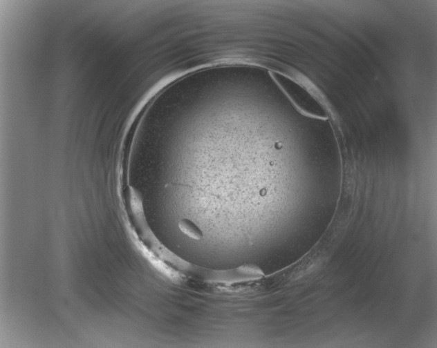 X0000078860955200611201310