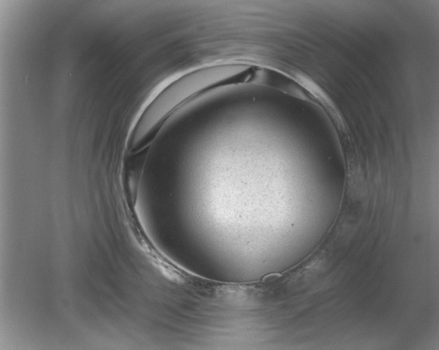 X0000078860956200611201310