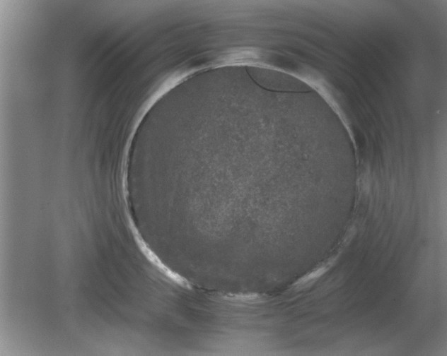 X0000078860957200611201310