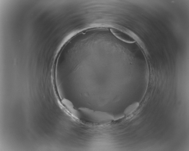 X0000078860958200611201310