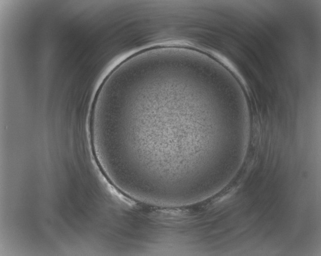 X0000078860959200611201310