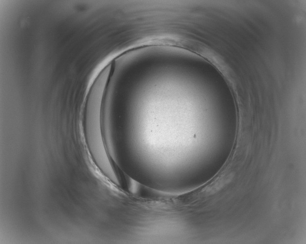 X0000078860960200611201310