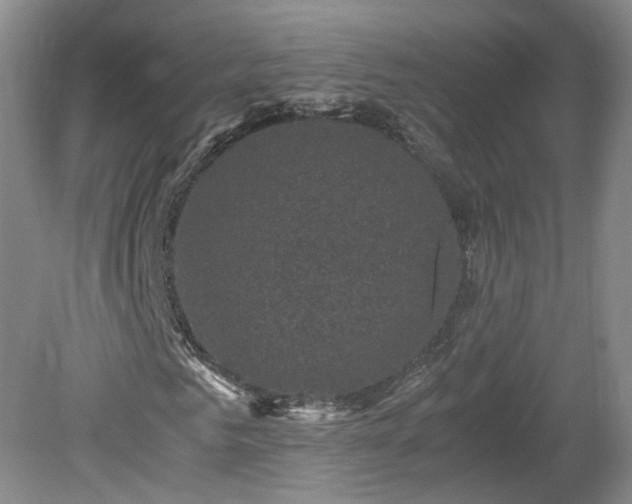 X0000078860961200611201309