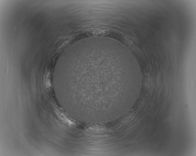 X0000078860962200611201309