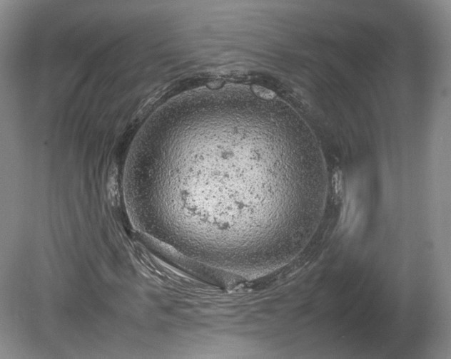 X0000078860963200611201309