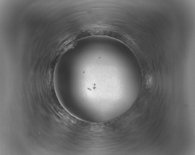 X0000078860964200611201309