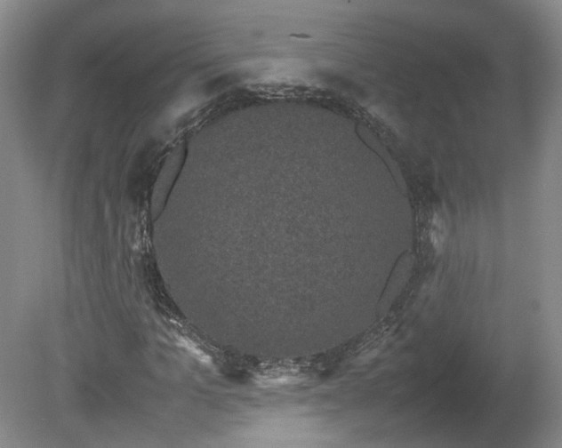 X0000078860965200611201309