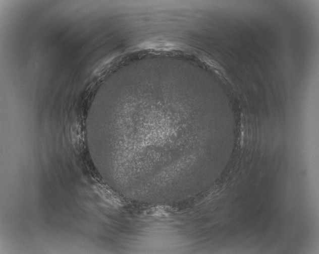 X0000078860966200611201309