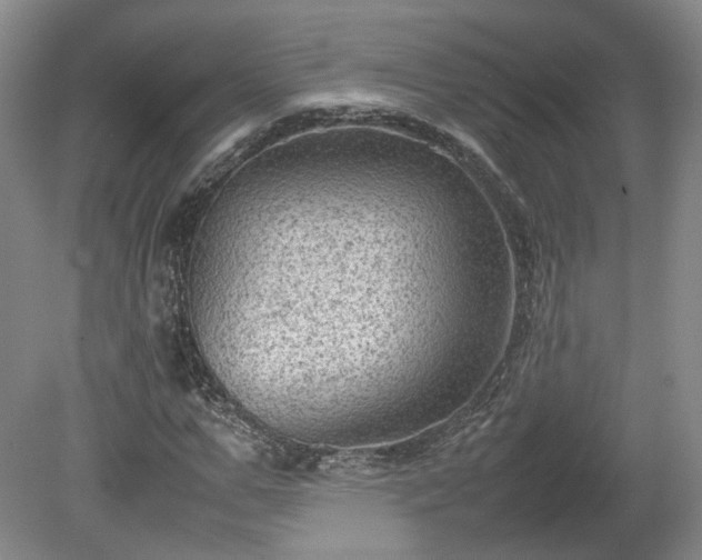 X0000078860967200611201309