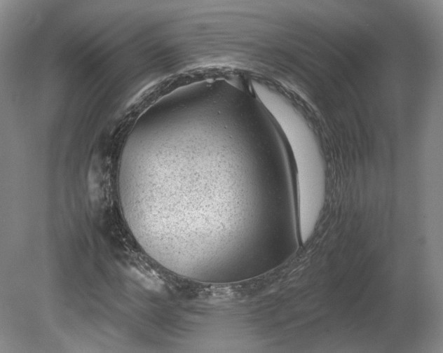 X0000078860968200611201309