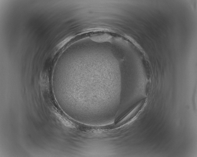 X0000078860969200611201309