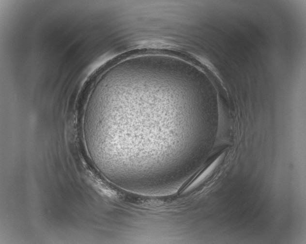 X0000078860971200611201309