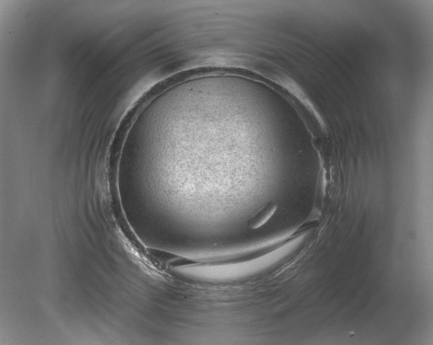 X0000078860972200611201309