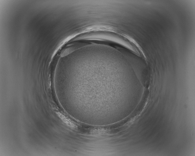 X0000078860973200611201309