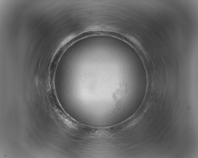 X0000078860974200611201309