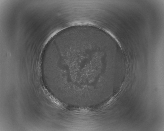 X0000078860975200611201309