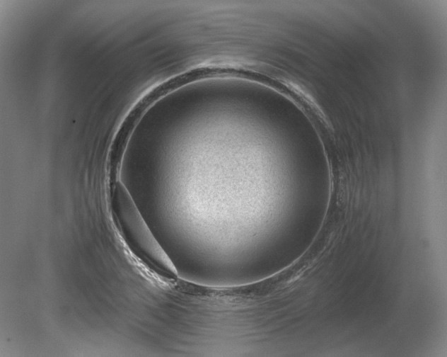 X0000078860976200611201309