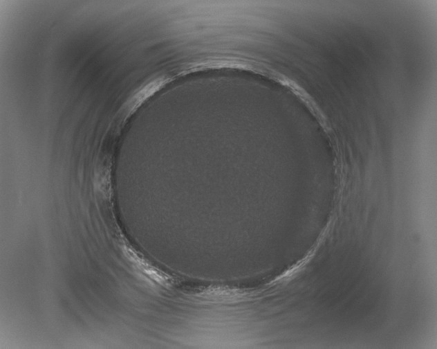 X0000078860977200611201309