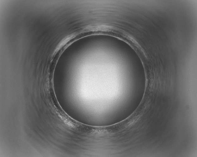 X0000078860978200611201309