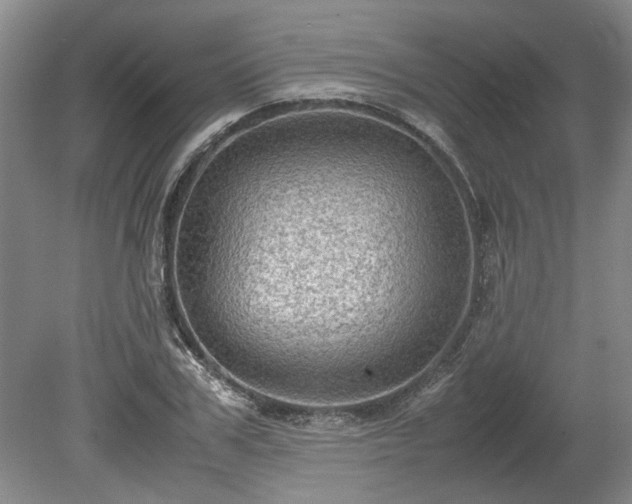 X0000078860979200611201309