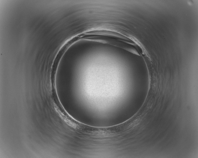 X0000078860980200611201309