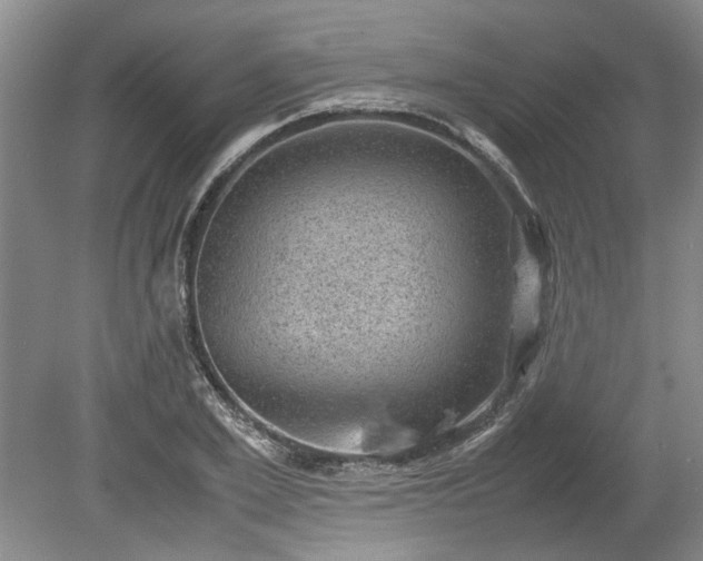 X0000078860981200611201309