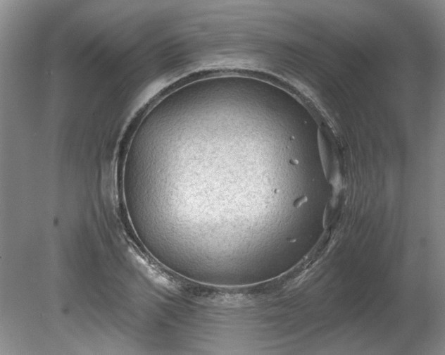 X0000078860982200611201309