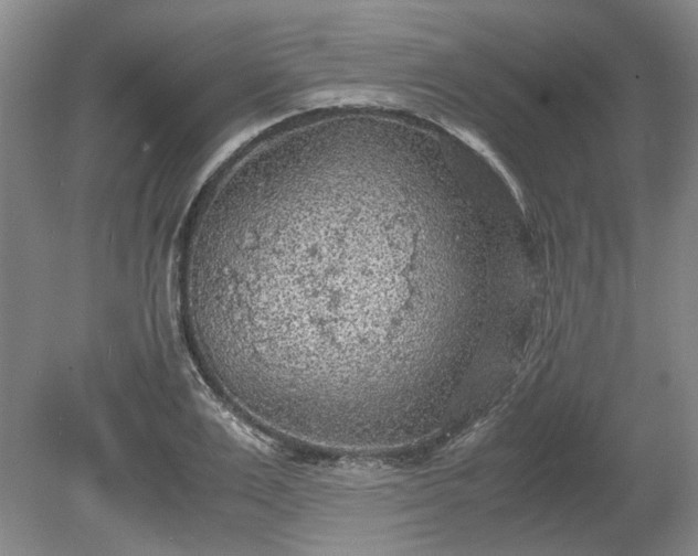 X0000078860983200611201309