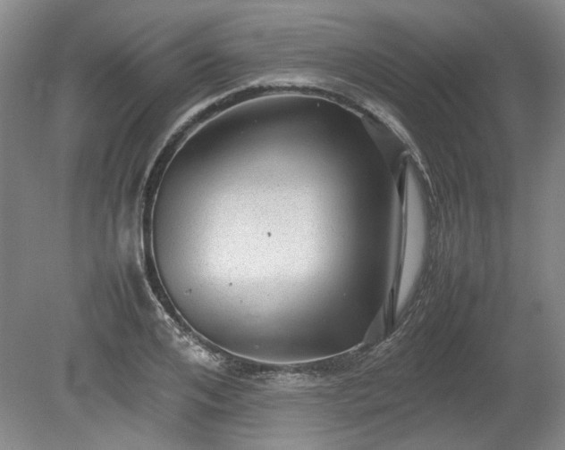 X0000078860984200611201309