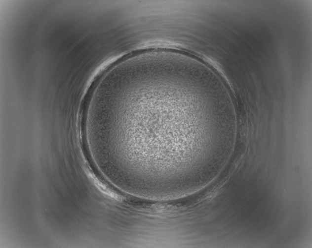 X0000078860987200611201309