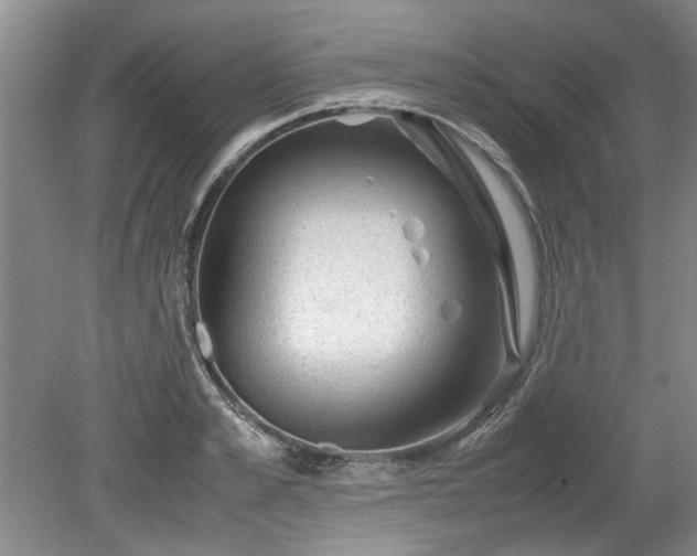 X0000078860989200611201309