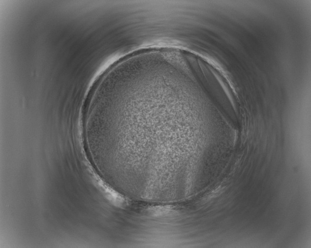 X0000078860990200611201309