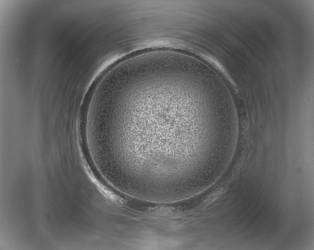 X0000078860991200611201309