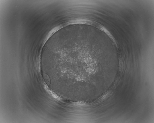 X0000078860994200611201309