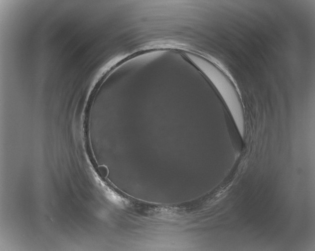 X0000078860995200611201309