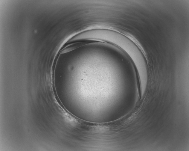 X0000078860996200611201309