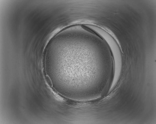 X0000078860997200611201308