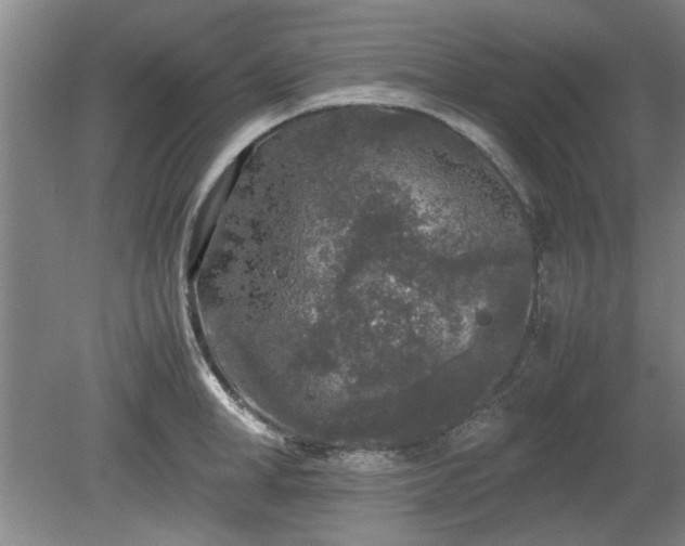 X0000078860998200611201308