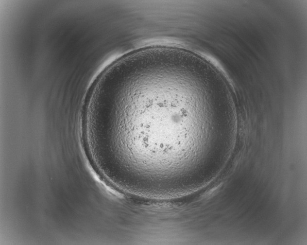 X0000078860999200611201308