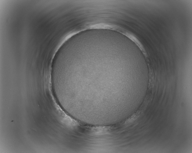 X0000078861000200611201308