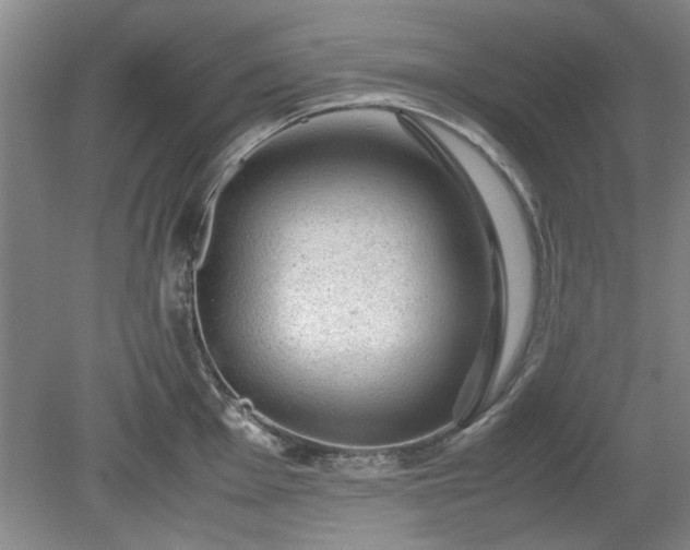 X0000078861001200611201308