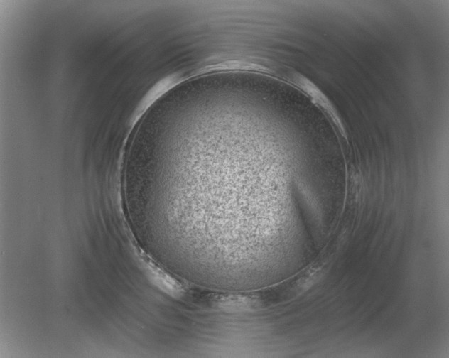 X0000078861002200611201308