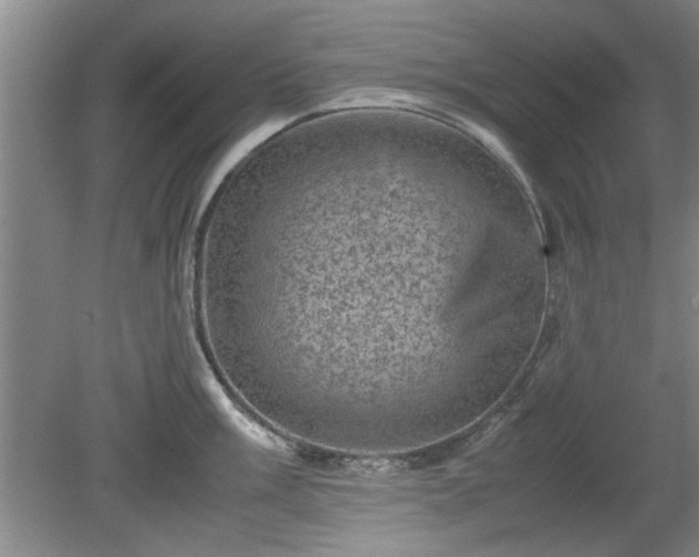 X0000078861003200611201308