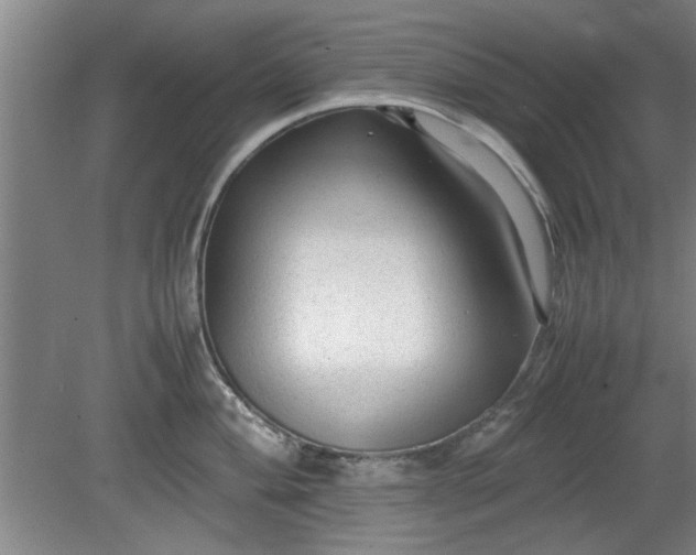 X0000078861004200611201308