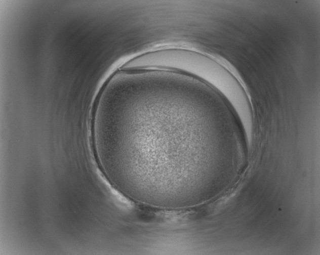 X0000078861005200611201308